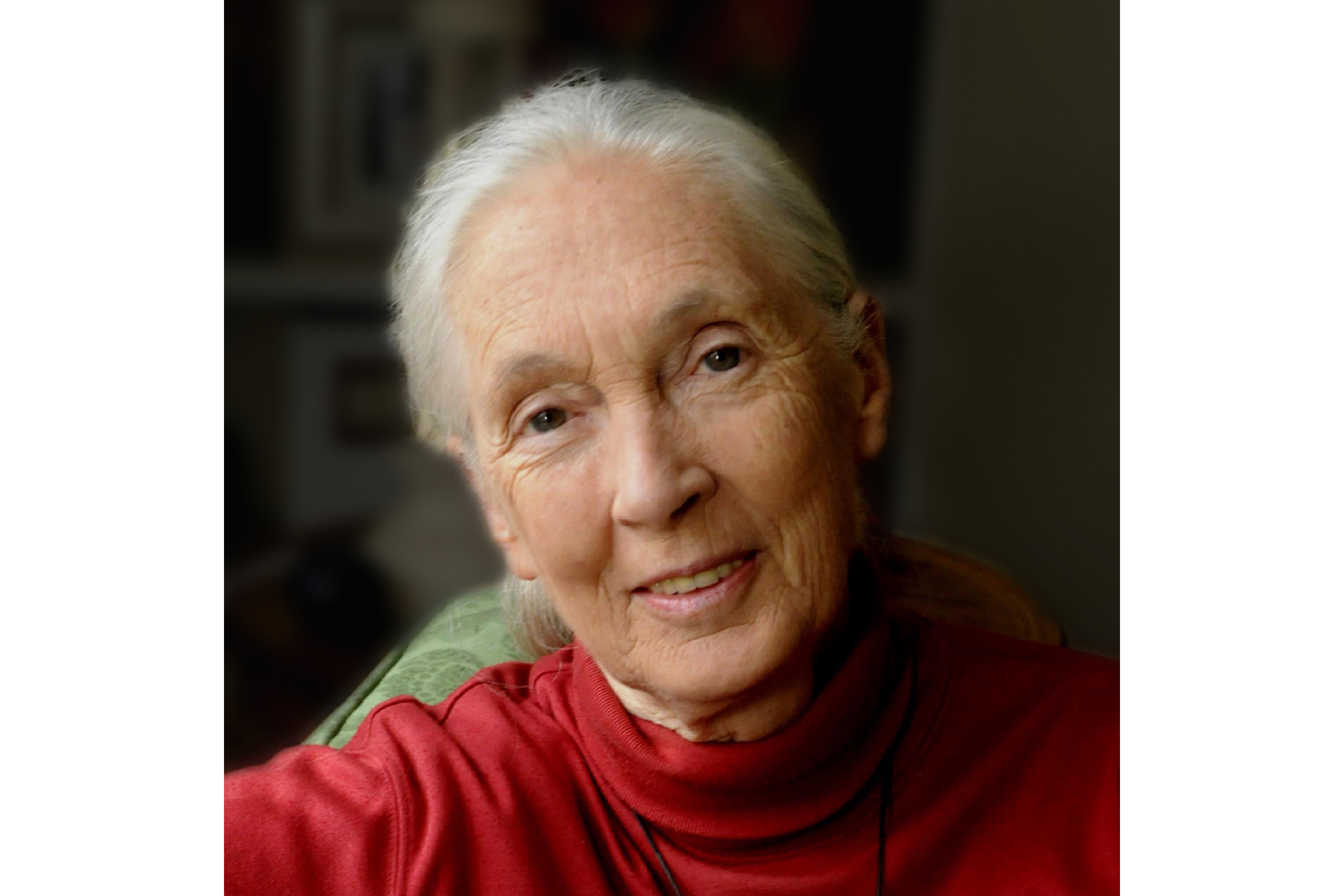 Jane Goodall, PhD, DBE